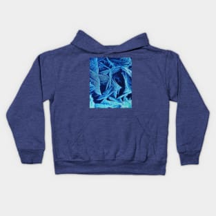 Ice Crystals Winter Kids Hoodie